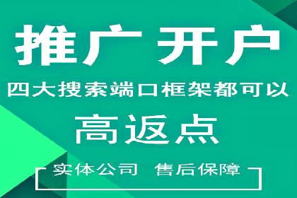 竞价排名案例：行业领先企业经验